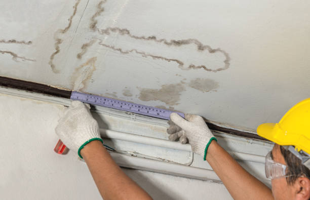 Reliable Mold Remediation contractor in Clinton, MA by Water Damage Irwin